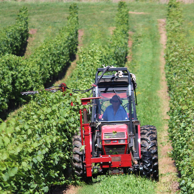 Groundskeeping-4